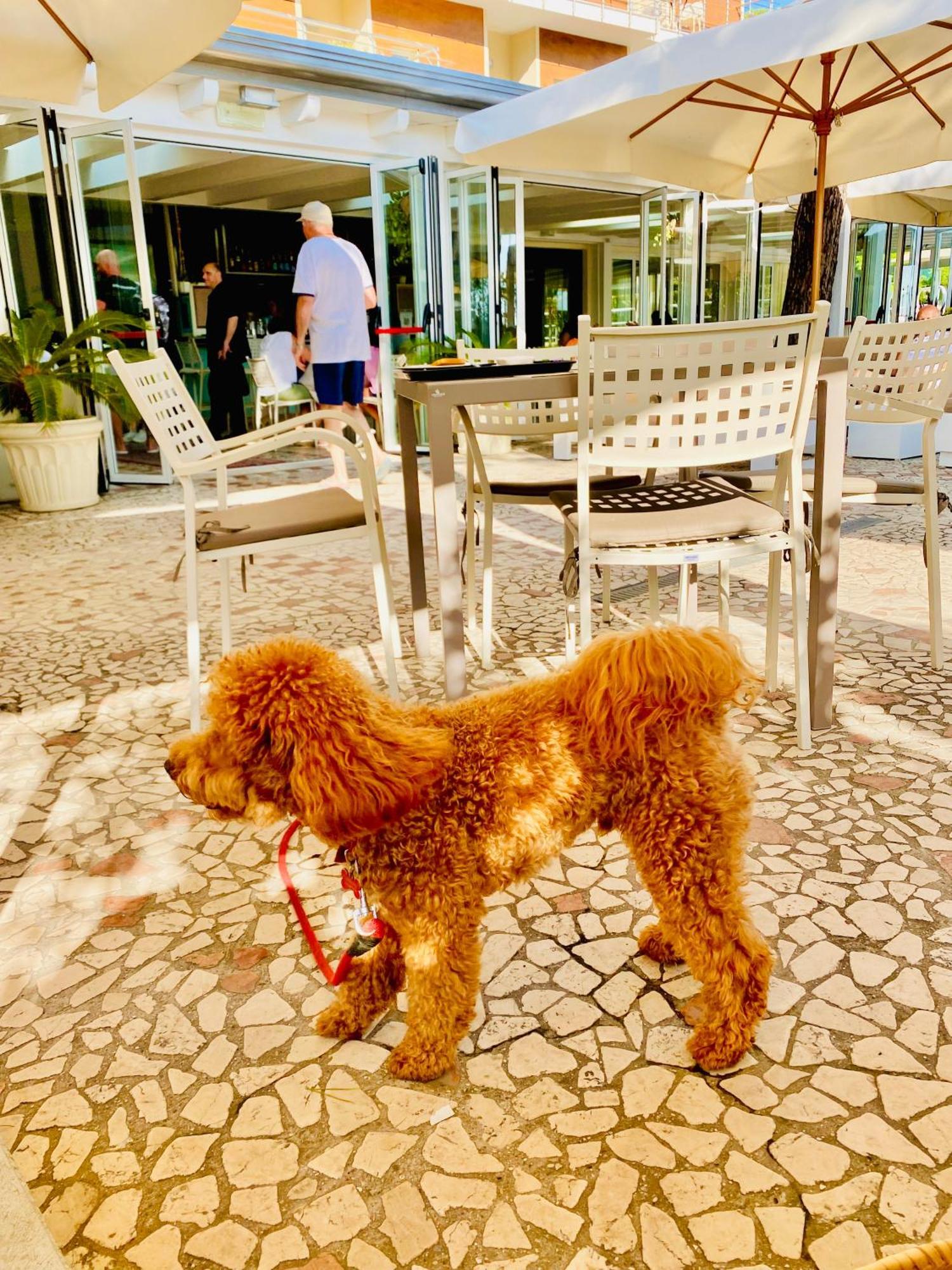 Hotel Franca Милано Мартима Екстериор снимка